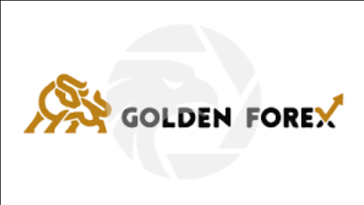 شركة Golden Forex